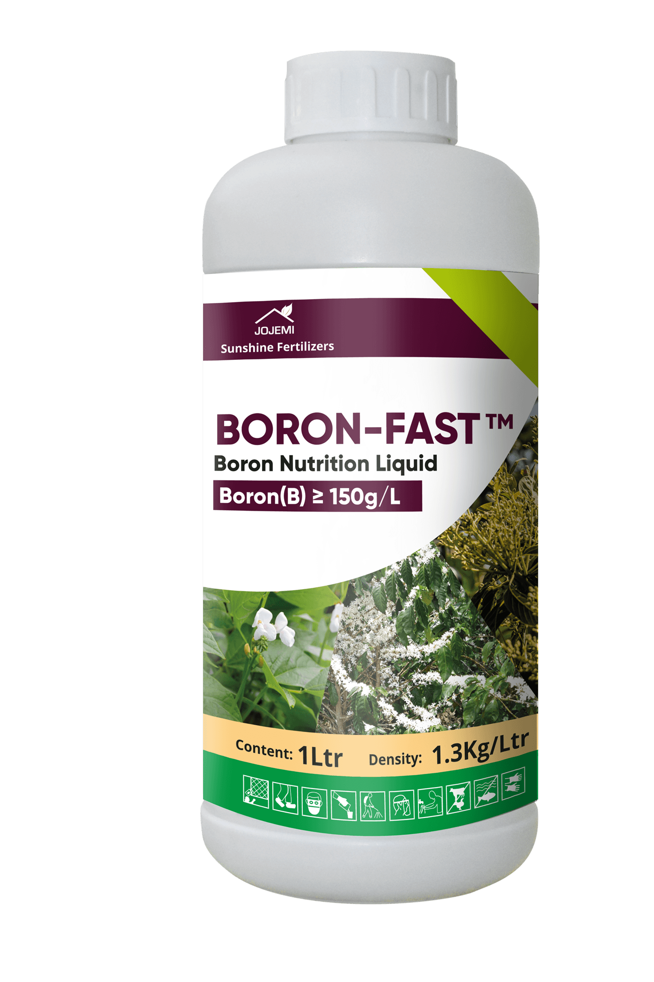 BORON-FAST