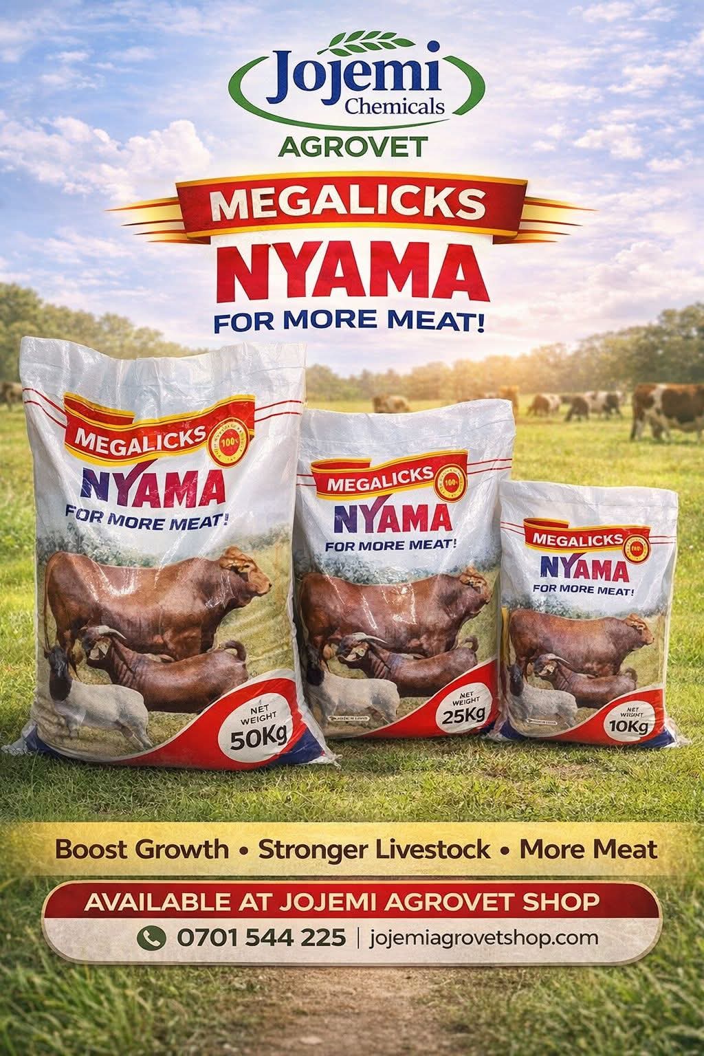 MEGALICKS NYAMA