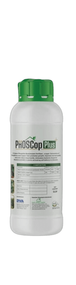 PHOSCop PLUS